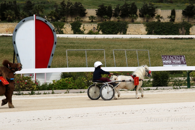 2015_Race 1 - 05.JPG